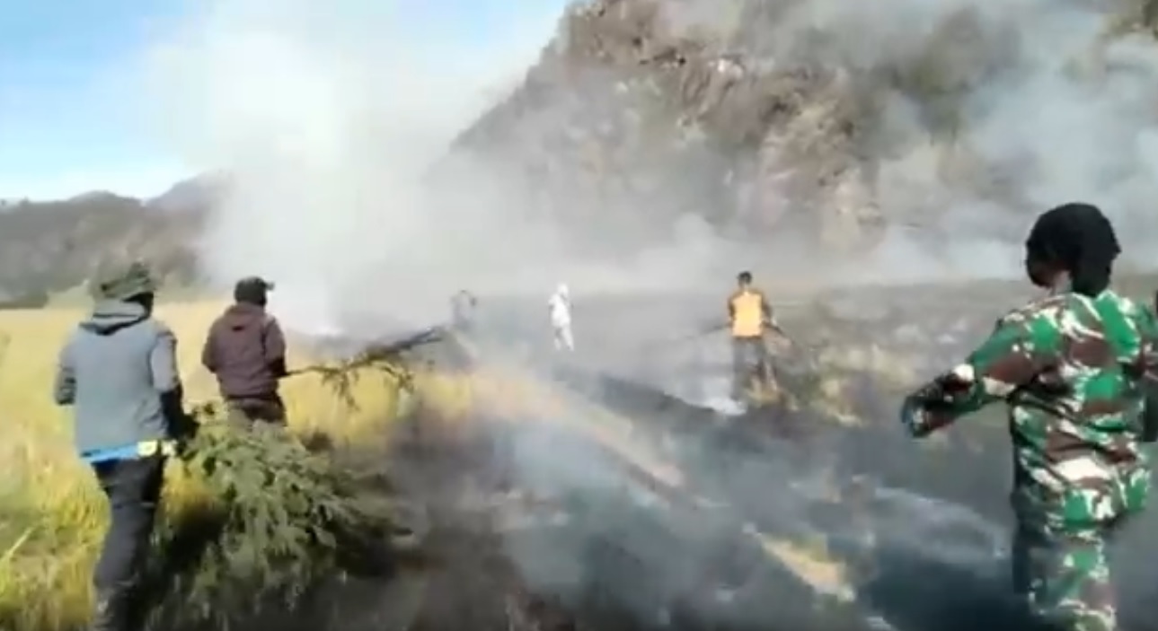 Petugas gabungan berjibaku memadamkan api yang melahap padang savana Gunung Bromo. (metrotv)