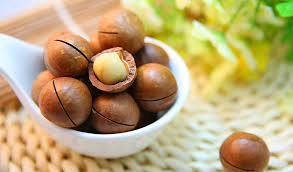 Kacang macadamia tinggi akan kandungan thiamin, yaitu vitamin B1, mangan, dan tembaga. (ist)