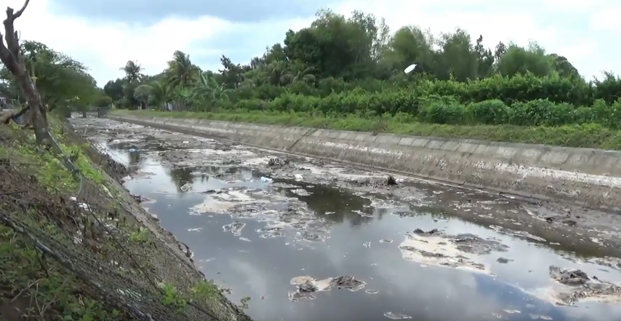 Sungai Bondoyudo Jember Berbusa dan Bau Busuk, Tercemar Limbah Pabrik Gula?