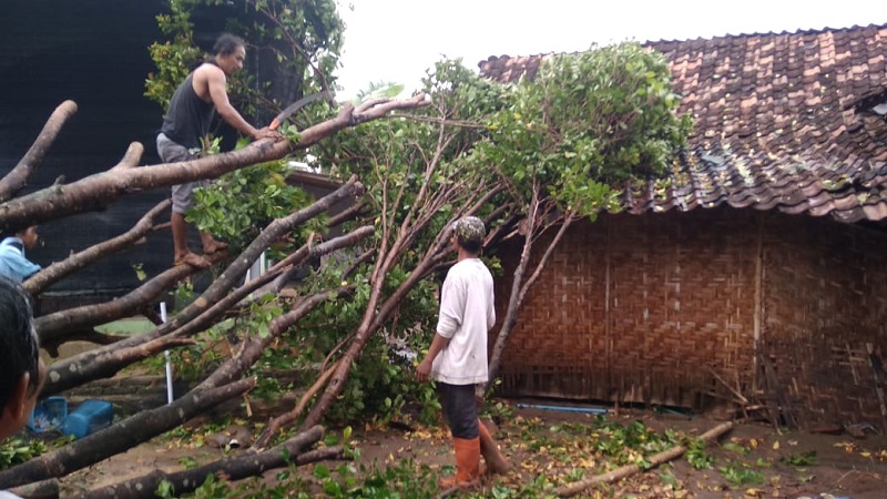 Salah satu rumah rusak di Madiun, Jawa Timur, tertimpa pohon tumbang akibat angin kencang, Minggu, 17 Oktober 2021. (BNPB)