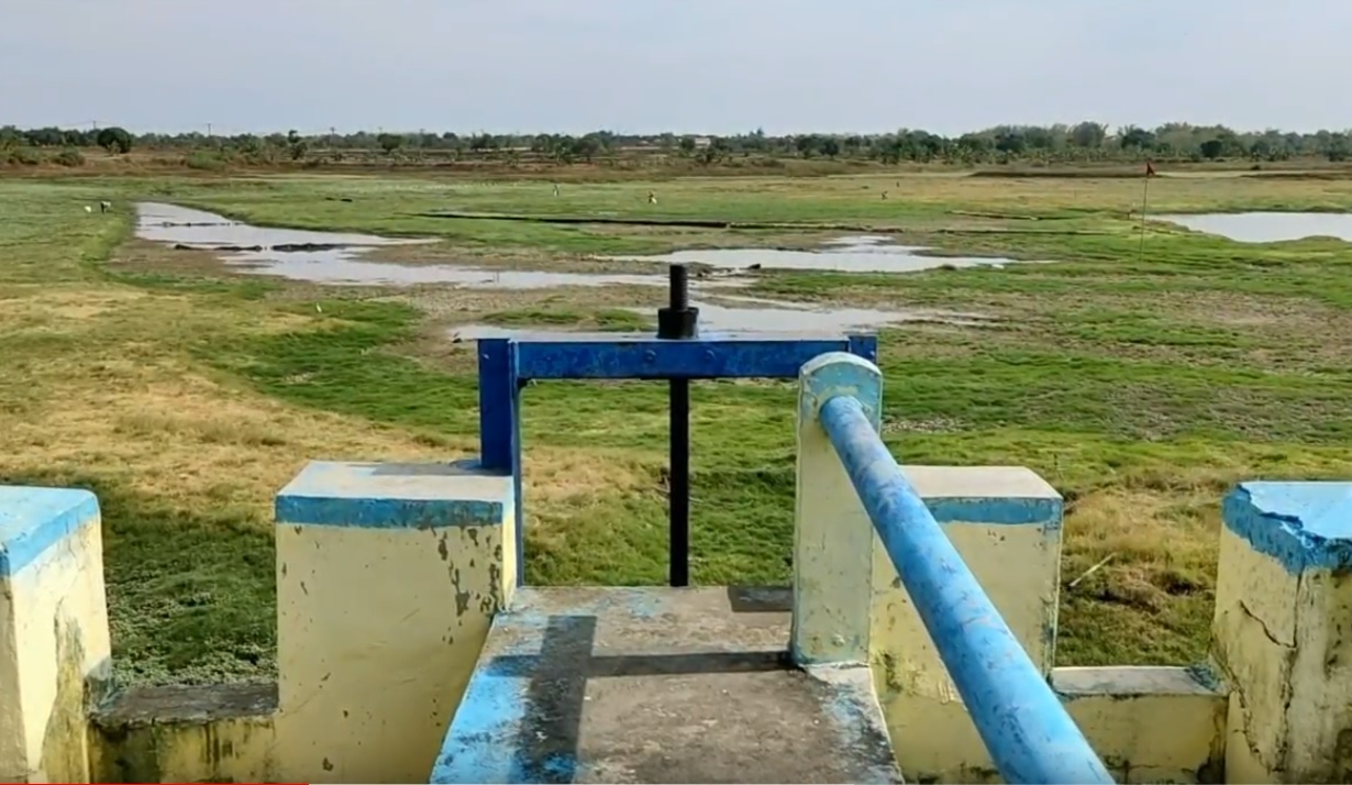 44 Waduk di Lamongan Mengering, Petani Gundah!