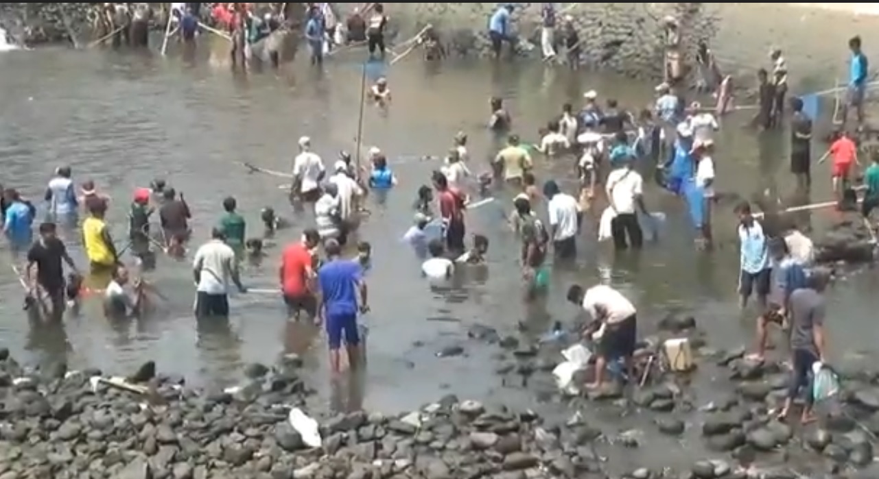 Ratusan warga  berburu ikan di area Sungai Bendung Balongsono, Desa Budugsidorejo, Kecamatan Sumobito, Jombang. (metrotv)