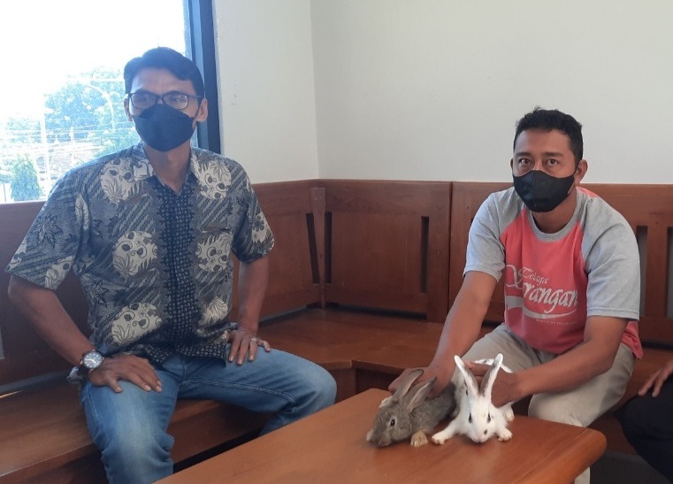 Giyang ditangkap bersama barang bukti 2 ekor kelinci (Foto / Metro TV