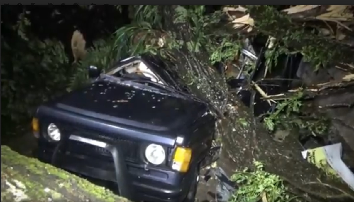 Pohon tumbang di Ngawi menimpa mobil yang terparkir. (metrotv)