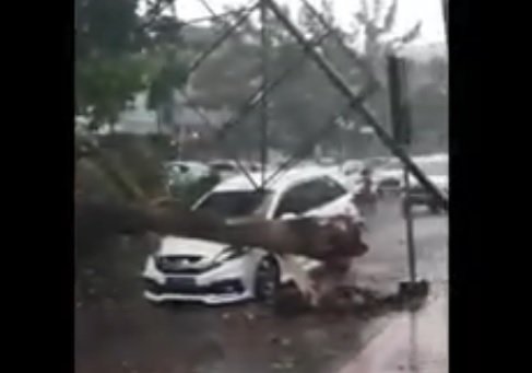 Sebuah mobil di Jalan Ahmad Yani Jember ringsek tertimpa pohon tumbang. (metroTV)