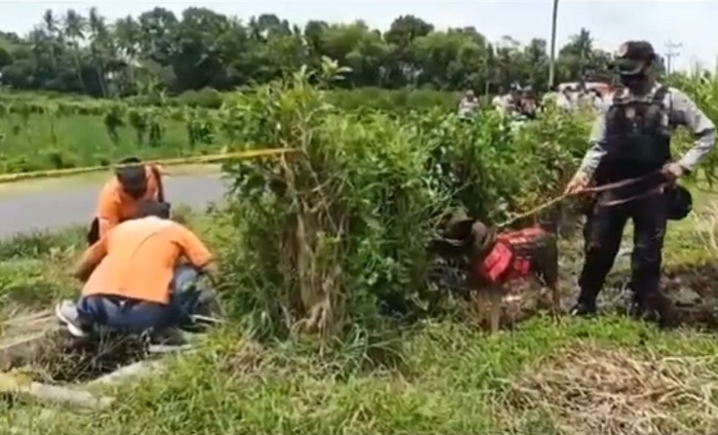 Polisi kerahkan anjing pelacak untuk menemukan barang bukti di TKP pembunuhan penjual jeruk Jember (Foto/ Metro TV)