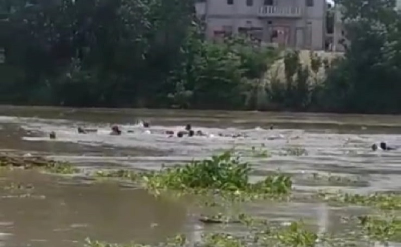 Tangkapan layar video detik-detik penumpang perahu mencoba menyelamatkan diri ke tepi sungai bengawan Solo (Foto / Basarnas)