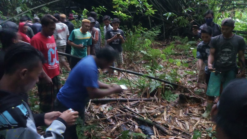 Kerangka manusia berjenis kelamin perempuan ditemukan di Hutan Ireng-Ireng Lumajang (Foto / Istimewa)