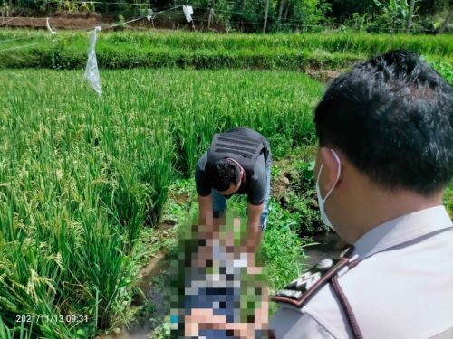 Penemuan jasad di sebuah pematang sawah Desa Klampok, Kecamatan Singosari, Kabupaten Malang, Sabtu, 13 November 2021. (ft/dok) 