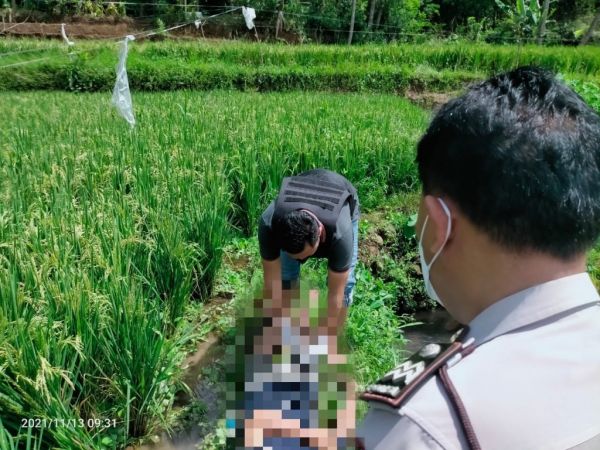 Mayat Pria Ditemukan di Pematang Sawah Singosari Malang