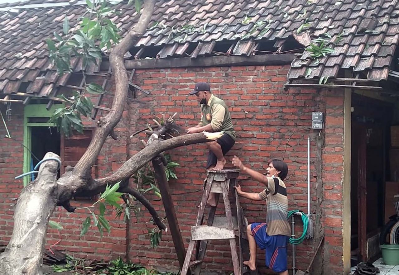 Salah satu rumah rusak akibat tertimpa pohon akibat angin kencang di Sidoarjo (Foto / Metro TV)