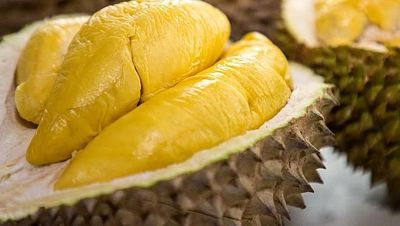Viral Polisi Minta Jatah Durian, Ini 5 Jenis 5 Durian Terenak di Indonesia