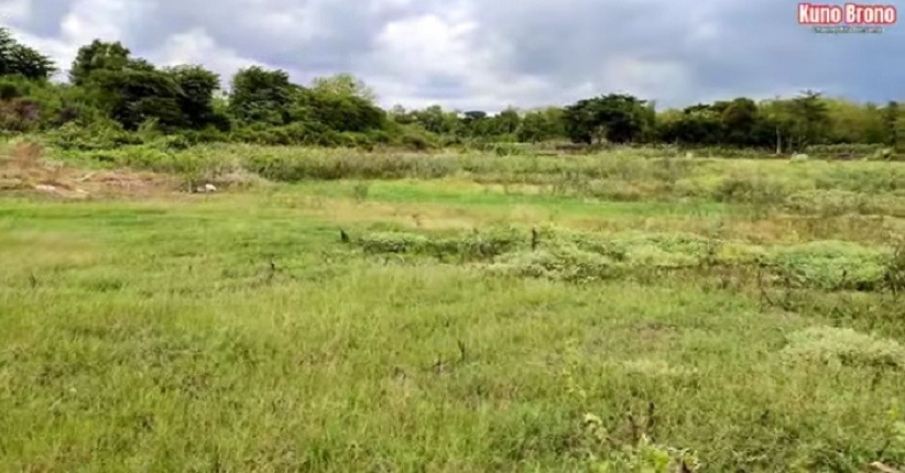 Di Atas Gunung Ini Terdapat Ratusan Fosil Kerang yang Jadi Batu, Bekas Lautan?