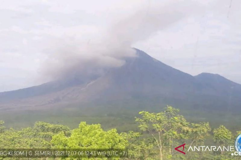 Aktivitas Gunung Semeru yang terpantau dari PPGA Semeru di Gunung Sawur, Kabupaten Lumajang, Jawa Timur, Selasa (7/12/2021) (ANTARA/HO-PVMBG)