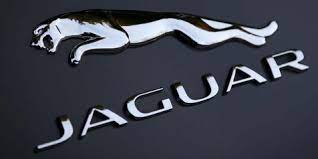 Logo Jaguar (Istimewa)