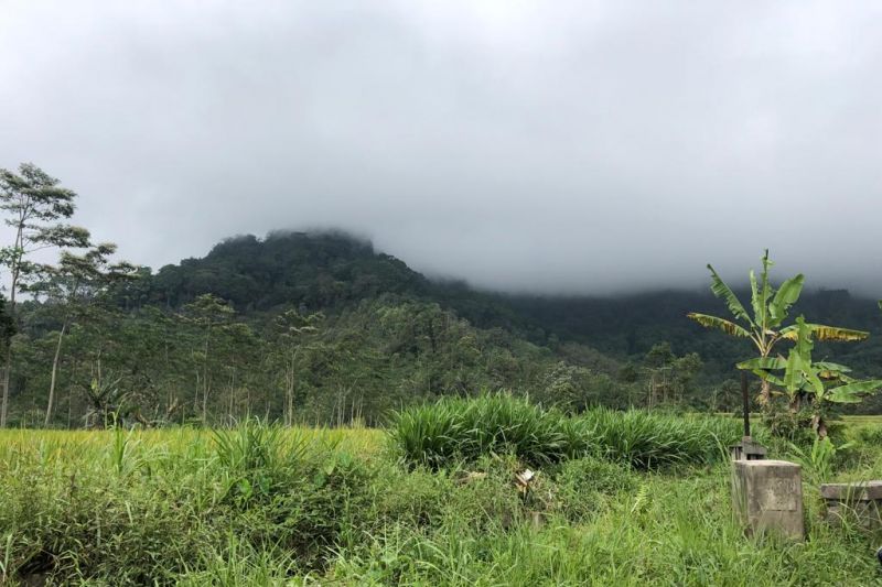 Puncak Gunung Semeru tertutup awan mendung pekat yang dipantau dari Candipuro, Lumajang, Jawa Timur, Kamis (9/12/2021). (ANTARA/Sugiharto Purnama)