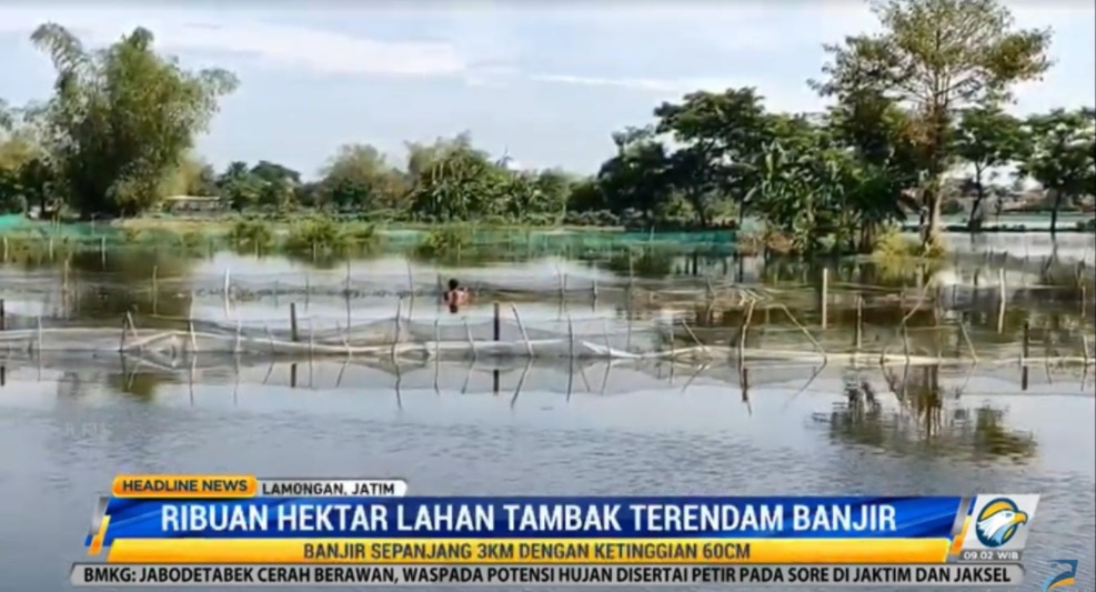 Banjir melanda Kabupaten Lamongan, Jawa Timur, akibat Sungai Bengawan Jero meluap. Metro TV