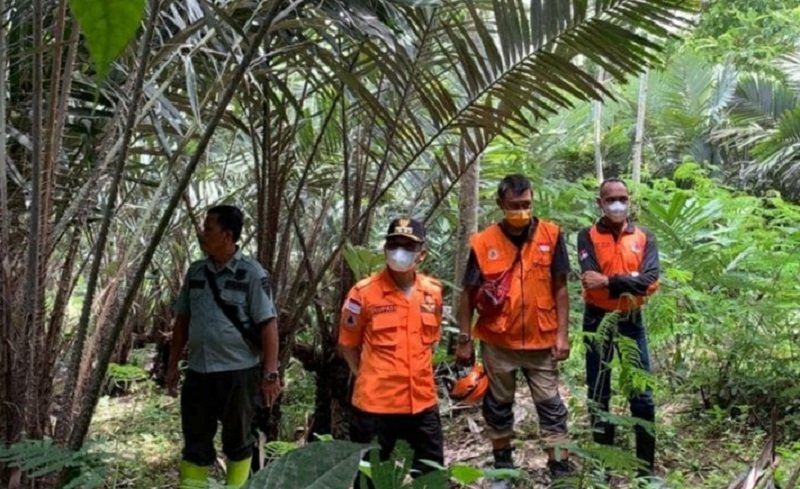 Bupati Lumajang Thoriqul Haq saat mengecek lokasi relokasi korban erupsi Semeru (Foto / Istimewa)