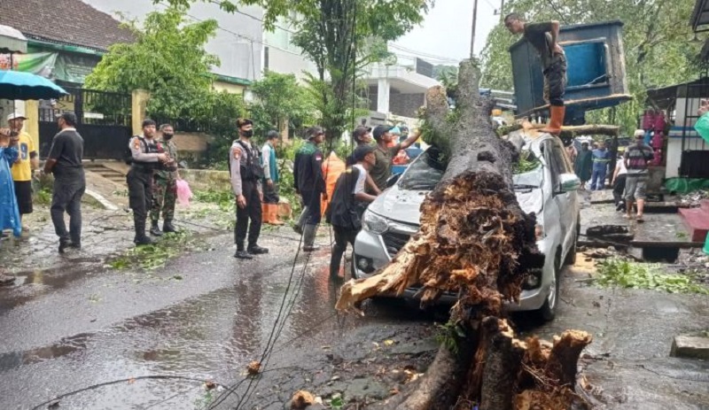 Hujan Es Disertai Angin Kencang Tumbangkan 9 Pohon di Malang, 1 Mobil Ringsek