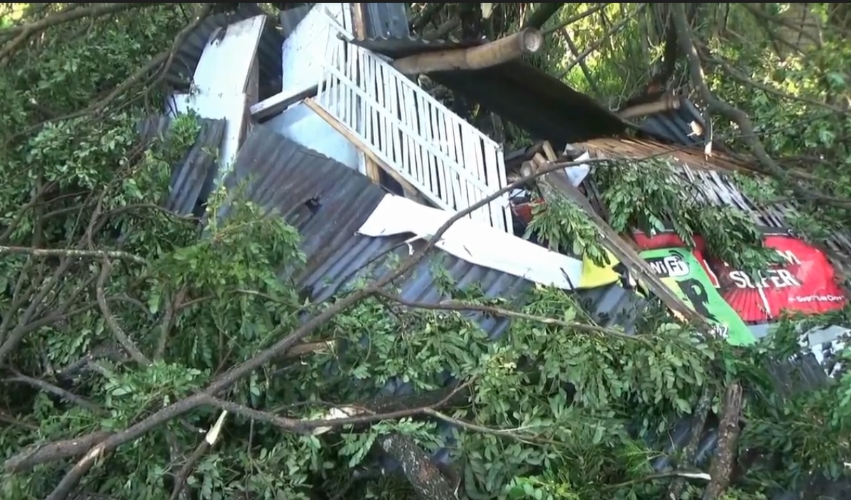 Warung di Bojonegoro hancur tertimpa pohon tumbang. (metrotv)