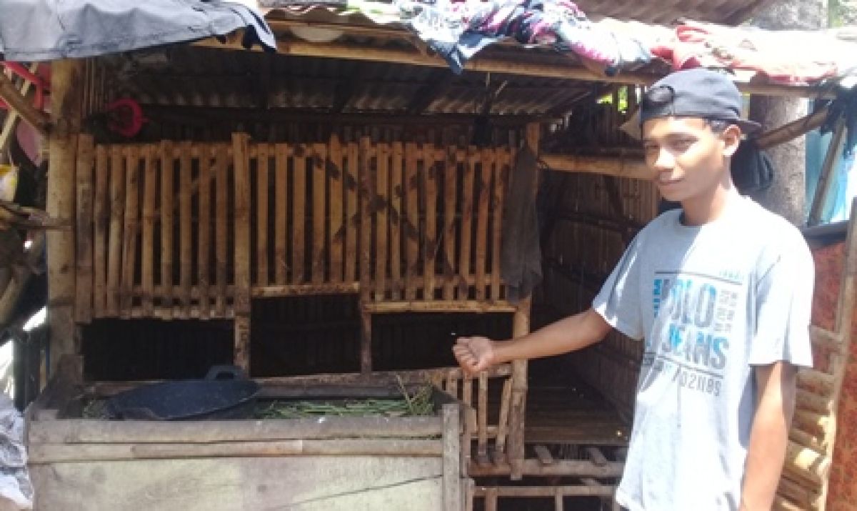 Terlalu, Pencuri di Probolinggo Gondol 3 Ekor Kambing Milik PKH