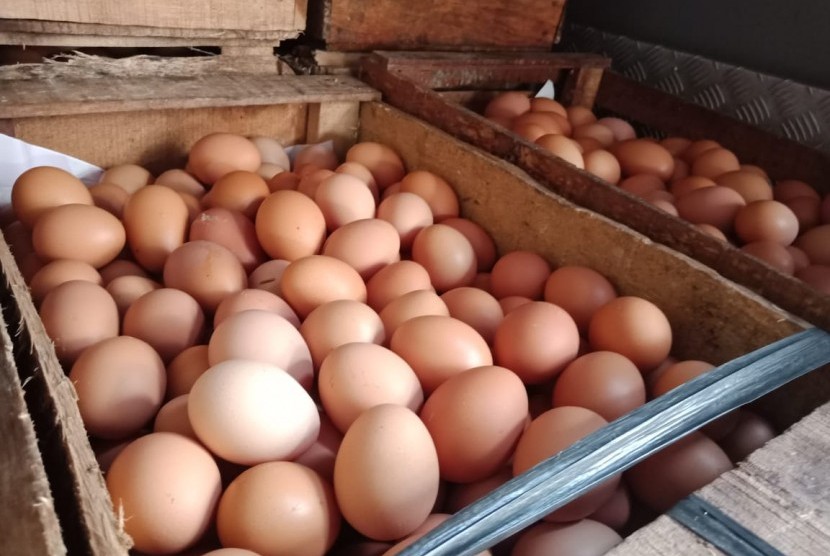 Harga Mahal, Warga Blitar Terpaksa Konsumsi Telur Cacat