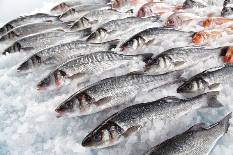 5 Cara Memilih Ikan Segar untuk Dipanggang saat Malam Tahun Baru