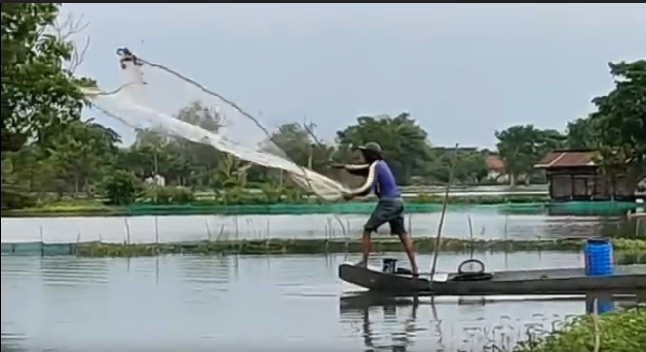 Warga menjaring ikan di tambak yang terendam banjir. (metrotv)