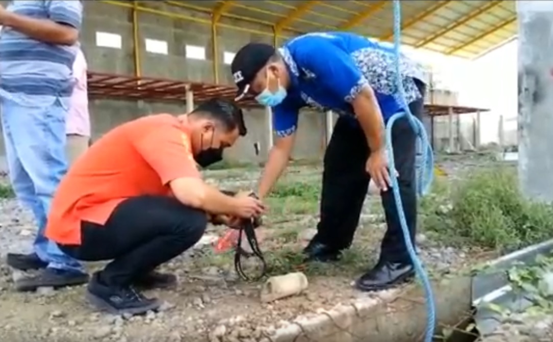 Terjatuh, Pekerja Tewas Saat Pasang Atap Pabrik