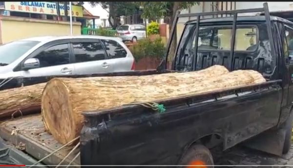 Polsek Lumbang Gagalkan Aksi Illegal Logging