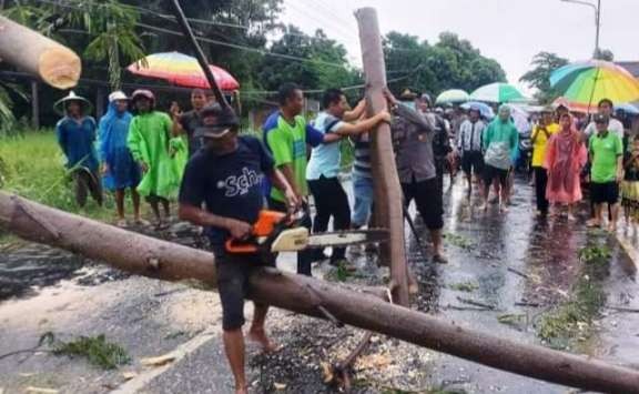 Petugas mengevakuasi pohon tumbang yang menewaskan anggota TNI AD 