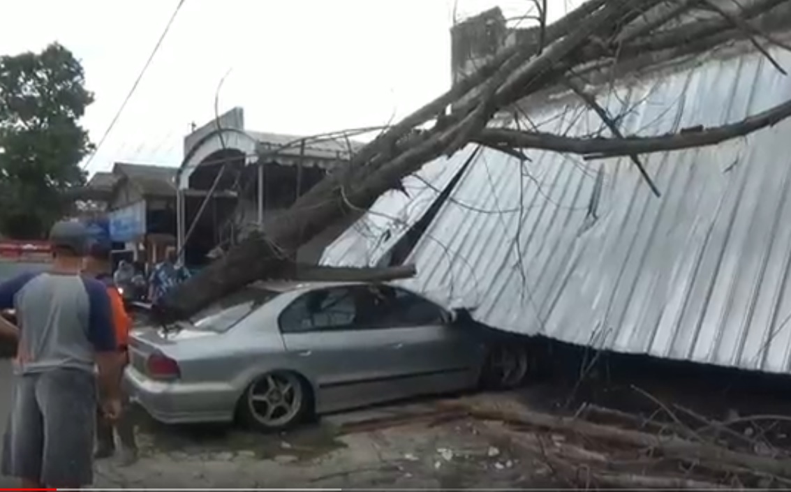 Kondisi mobil yang tertimpa pohon tumbang di Tulungagung. (metro