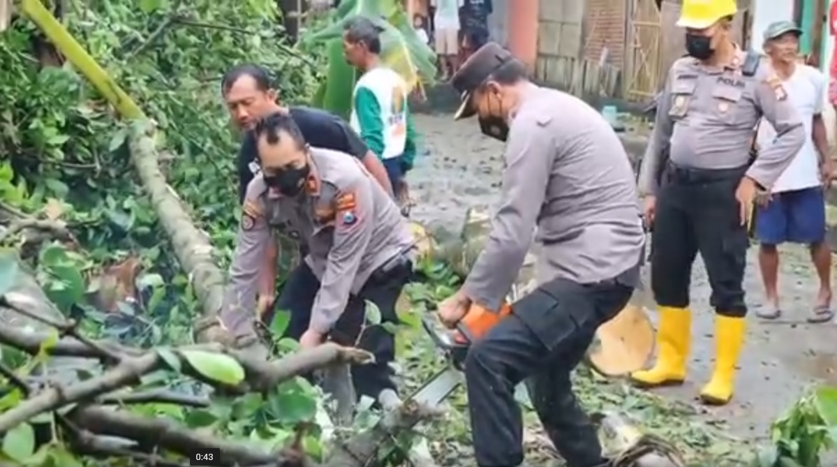 Petugas kepolisian, TNI dan BPBD serta warga membersihkan puing-puing dan memotong pohon yang tumbang melintang di tengah jalan. (metrotv)