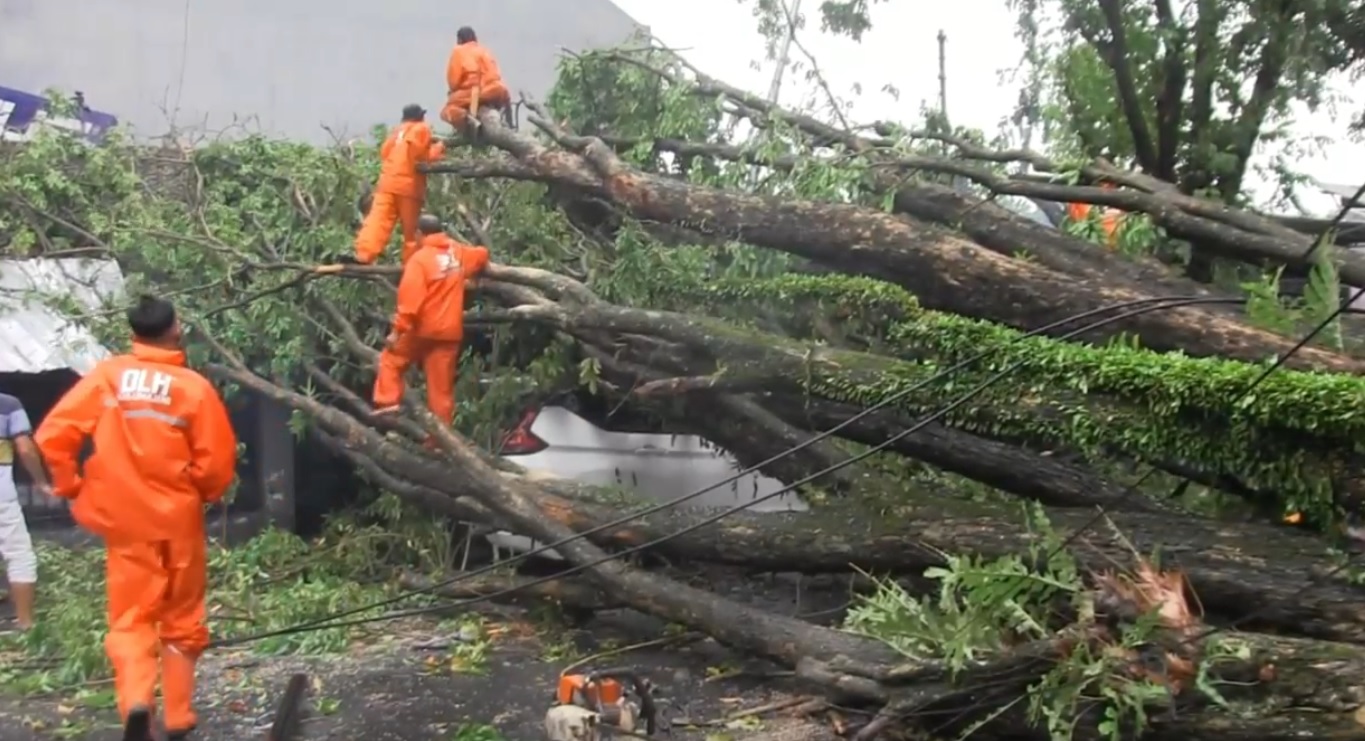 Petugas memotong ranting pohon tumbang di tengah jalan (Foto / Metro TV)