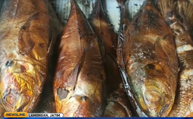Ikan barakuda asal kuliner khas Lamongan/Metro TV