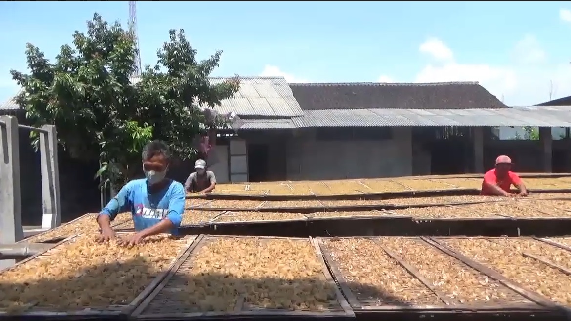 Perajin kerupuk di Kelurahan Mangli, Kecamatan Kaliwates, Jember sebagian berhenti beroperasi lantaran kelangkaan minyak goreng/metrotv