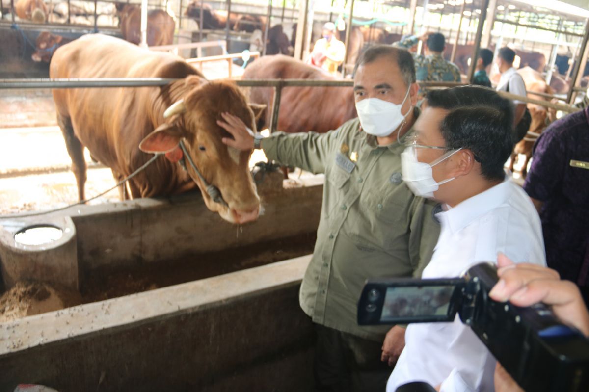 Sapi dari Jatim Cukupi Kebutuhan Jabodetabek dan Bandung Raya