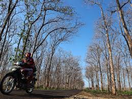 Puncak Kemarau Terjadi Agustus