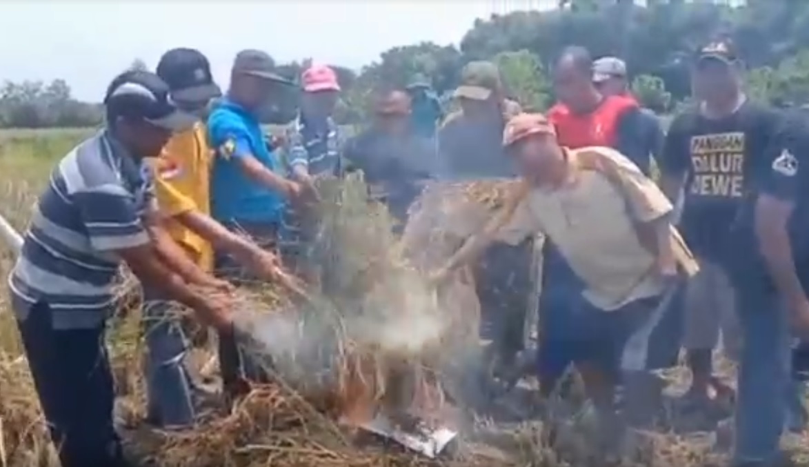 Aksi bakar padi dilakukan petani sekitar TPA Desa Mrican, Ponorogo/metrotv 