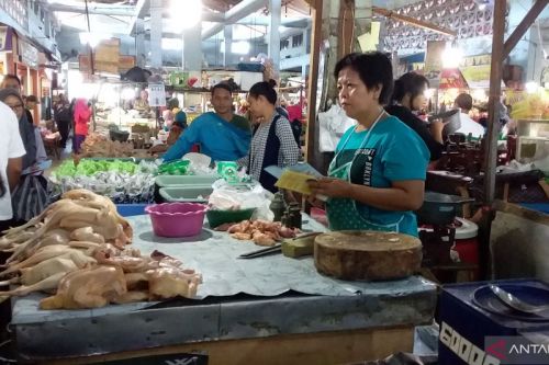 Ilustrasi--Penjual daging ayam melayani pembeli di Pasar Tanjung Jember (ANTARA/Zumrotun Solichah)