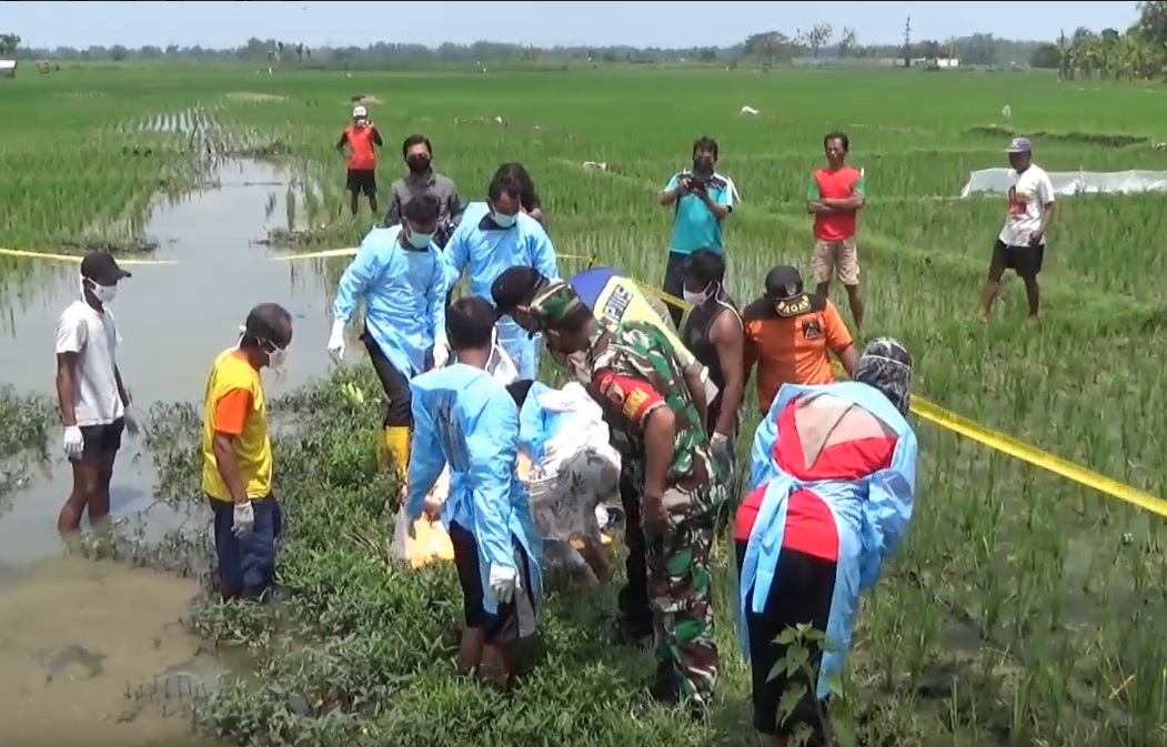 Geger, Mayat Pria Tanpa Busana Mengambang di Irigasi Sawah