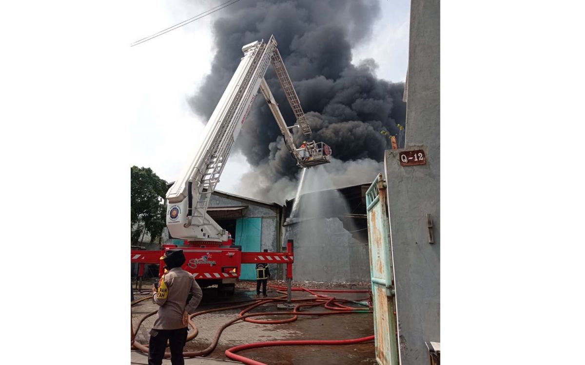 Kebakaran gudang elektronik hingga sepatu di Sukomanunggal, Surabaya (Foto / Istimewa)