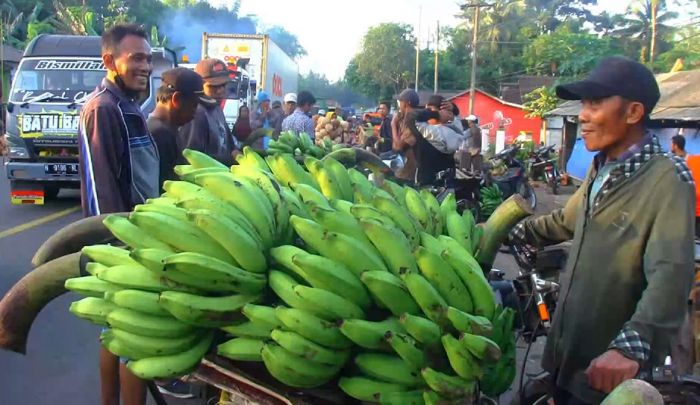 Banyaknya pedagang pisang yang berjualan di bahu jalan membuat akses jalan menyempit/MI