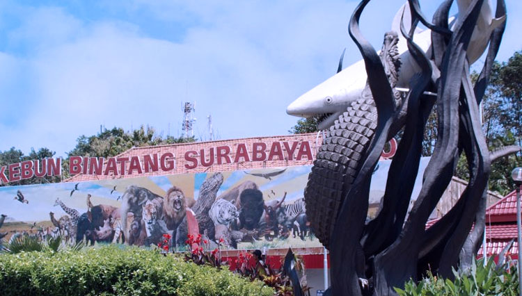 Pengunjung Kebun Binatang Surabaya (KBS) (Foto / Metro TV)