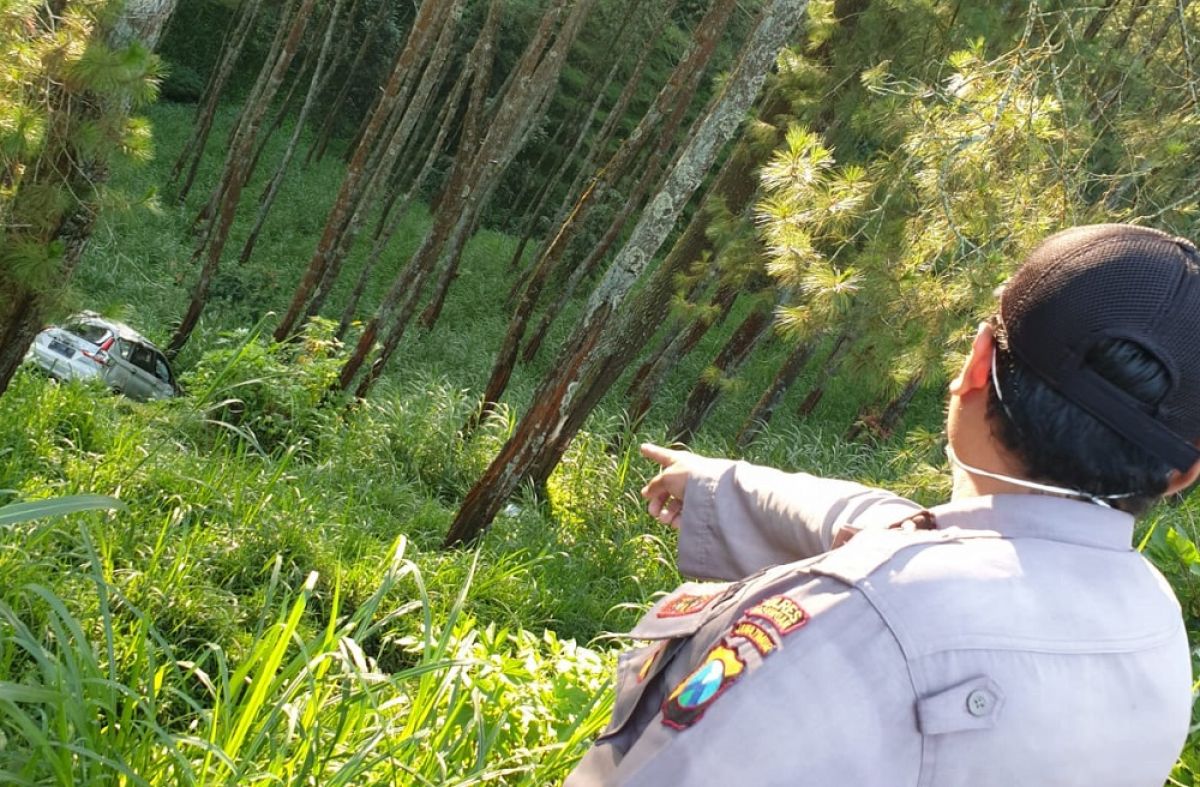 Sopir Mengantuk, Ertiga Masuk Jurang Pasuruan