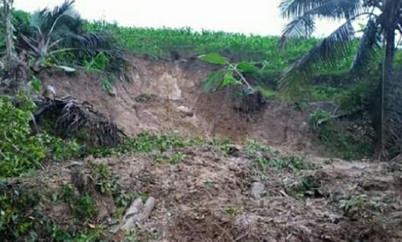 Longsor Timbun Rumah di Trenggalek, Satu Orang Tewas