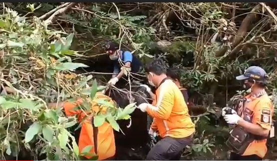 Jatuh dari Tebing, Perempuan di Ngawi Tewas Tersangkut Pohon