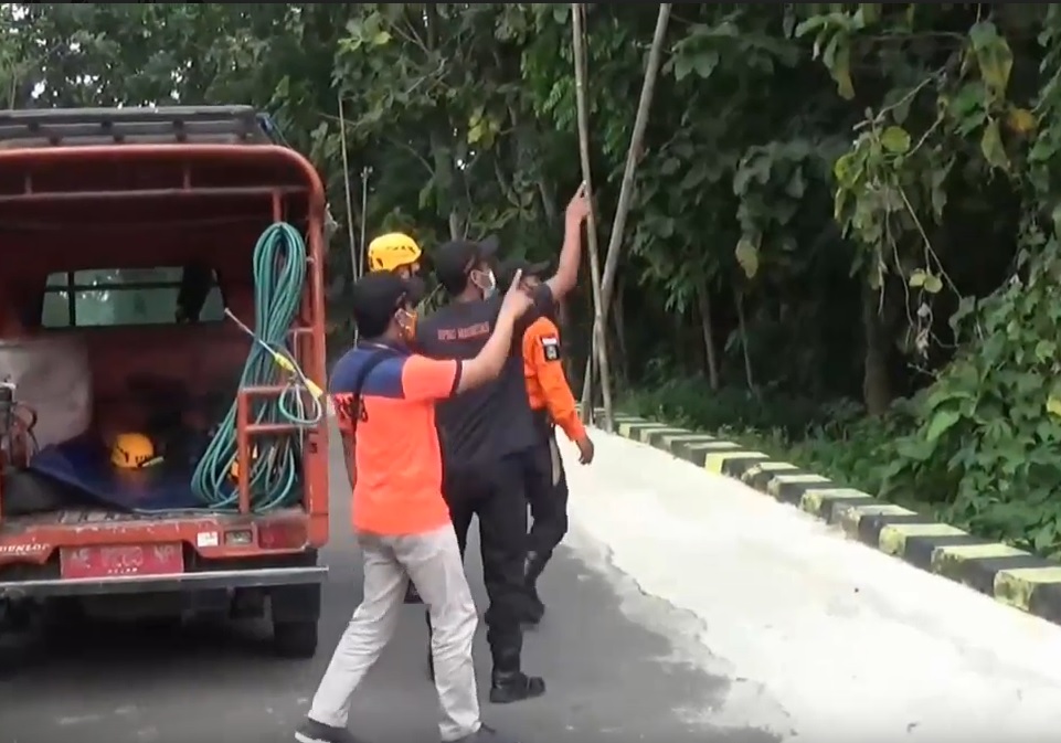 Warga Magetan Diteror Lutung Jawa