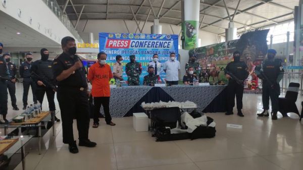 Penyelundupan Baby Lobster Senilai Rp 3 Miliar Lewat Bandara Juanda Digagalkan