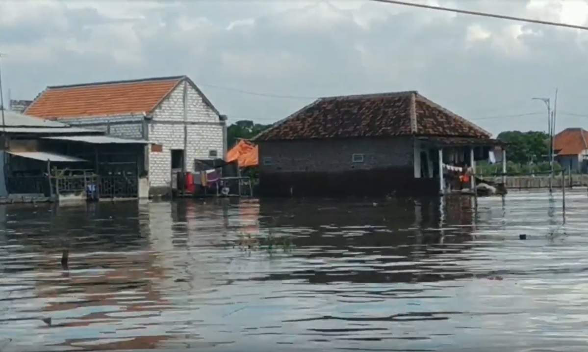 Banjir rob di Dusun Kisik, Desa Kalirejo, Kecamatan Kraton, Kabupaten Pasuruan/metrotv